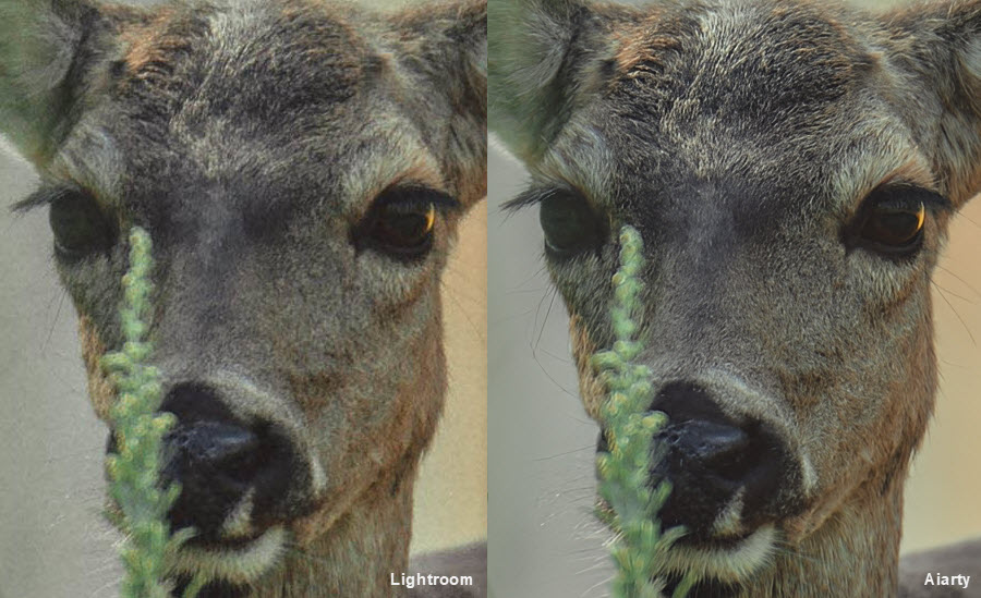 Lightroom output sharpening