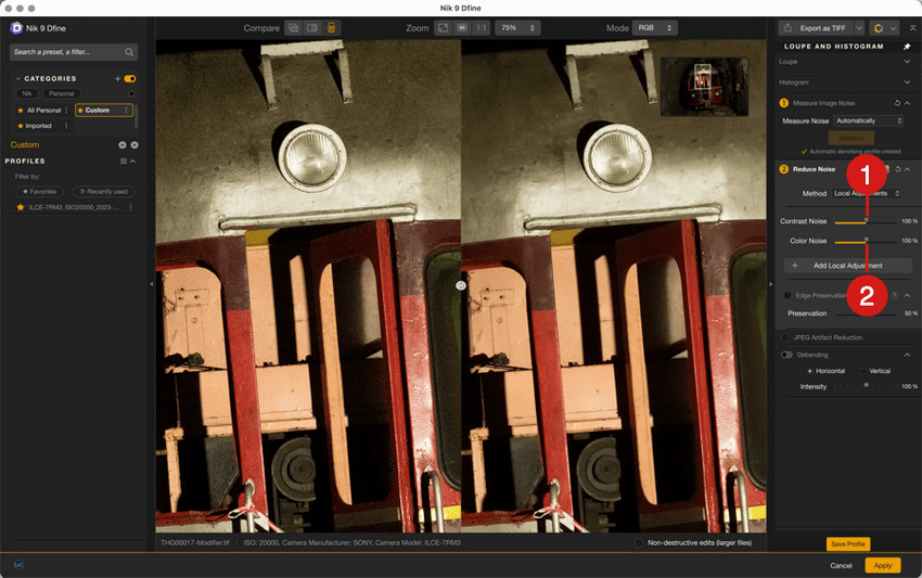 Nik 9 Dfine noise reduction
