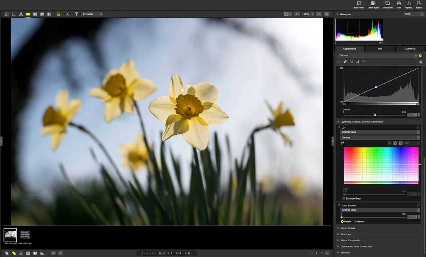 Nikon NX Studio Review