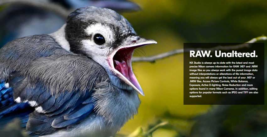 Nikon NX Studio Review