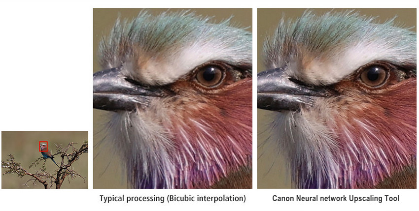 Neural network upscaling tool