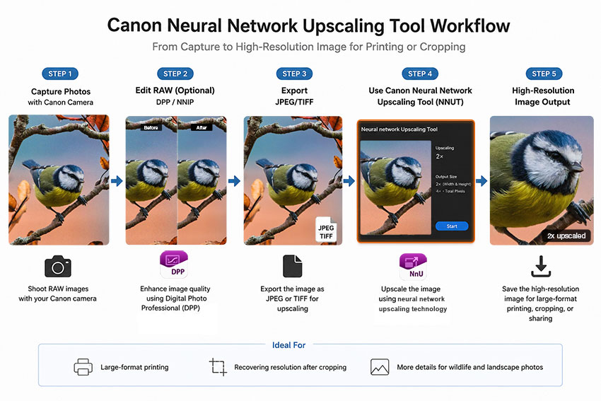 How does Neural network upscaling tool work