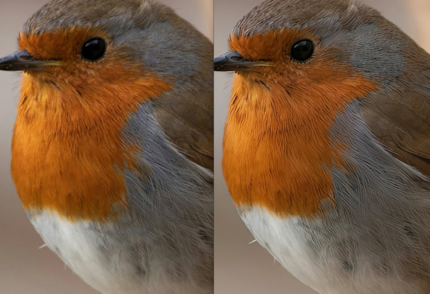 ON1 Resize AI upscaled image test
