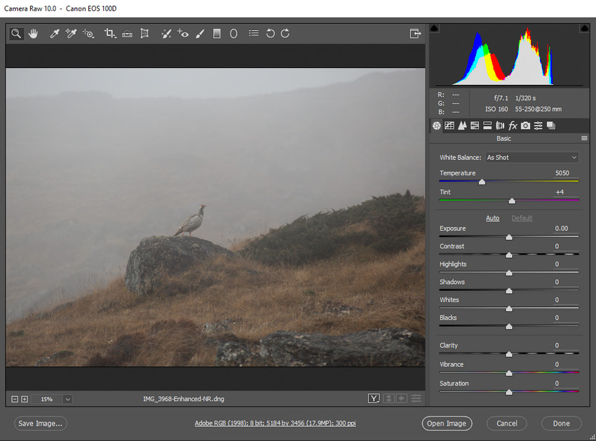 Open a RAW File Directly
