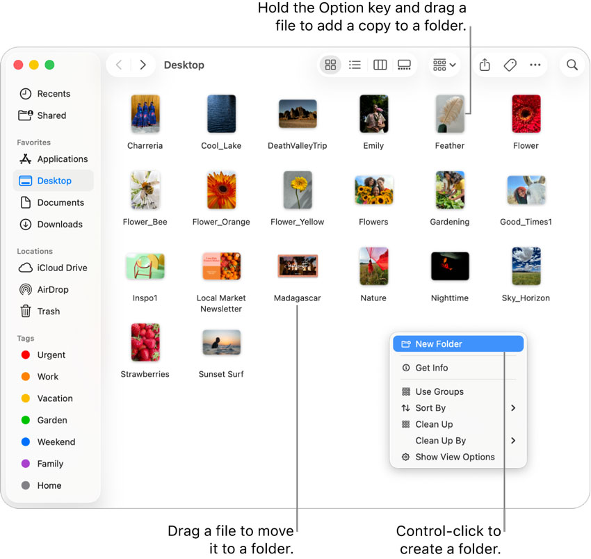 How to Organize Photos on Mac