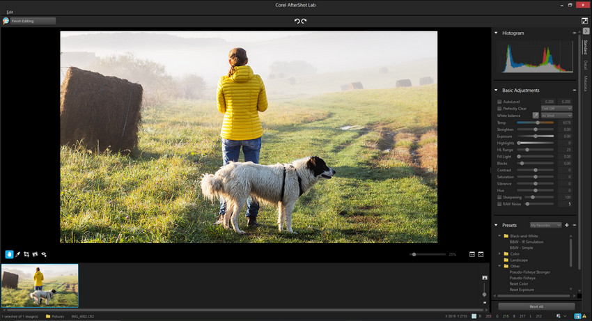 PaintShop Pro Vision FX 