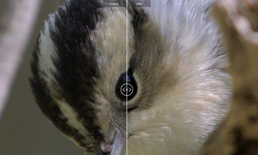 PaintShop Pro AI Denoise