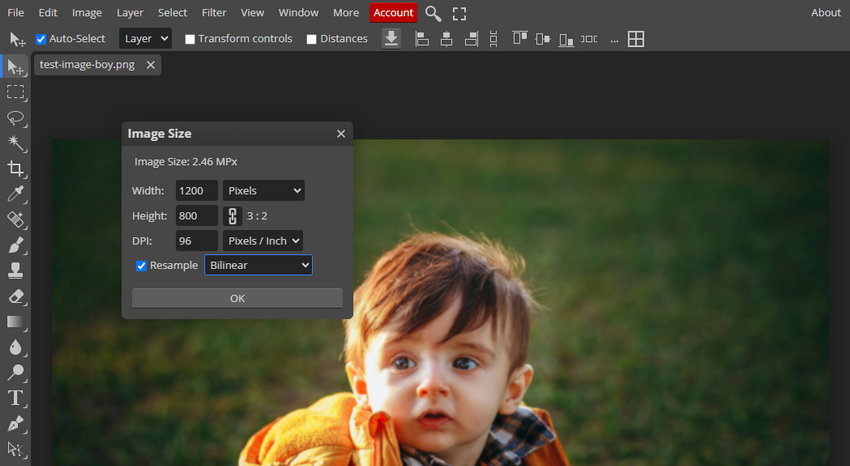 Image Size Dialog in Photopea