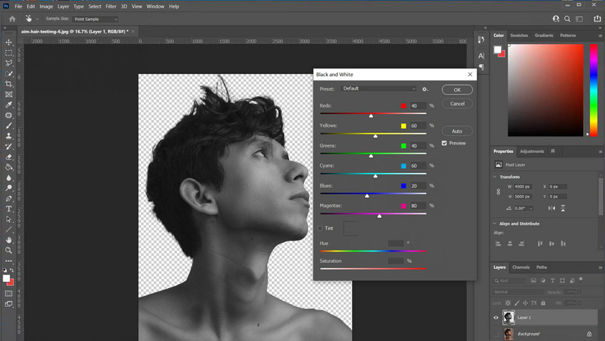 Convert subject to black and white