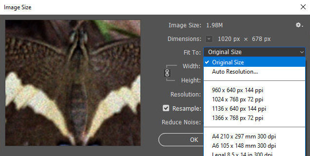 PPI presets