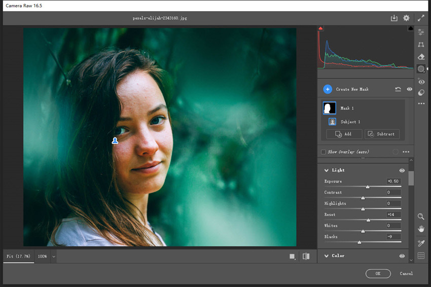 editing portraits in photoshop