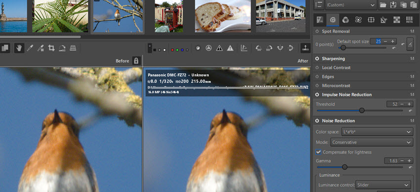 RawTherapee Bird Photo Noise Reduction