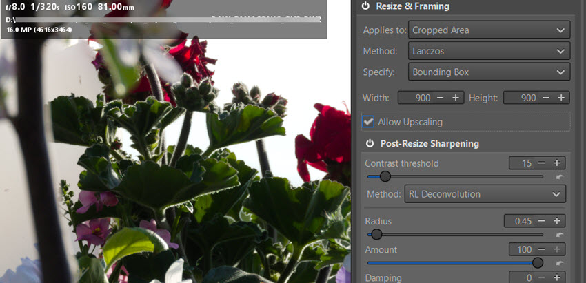 RawTherapee Resize Framing