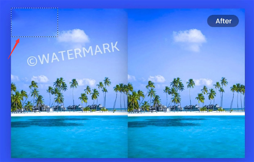 watermarked is removed