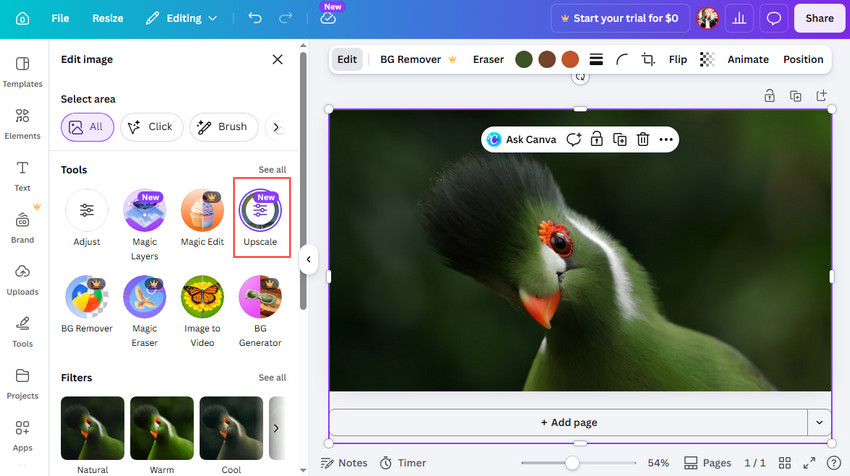 Sharpen an Image with Canva's AI Upscale Tool