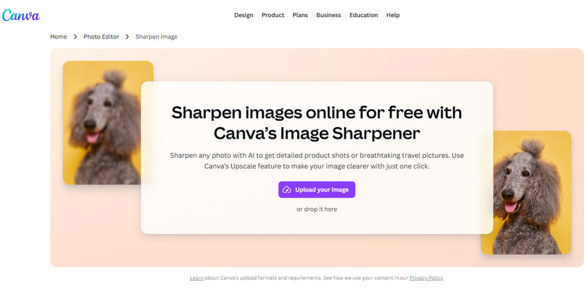 How to Sharpen an Image in Canva 