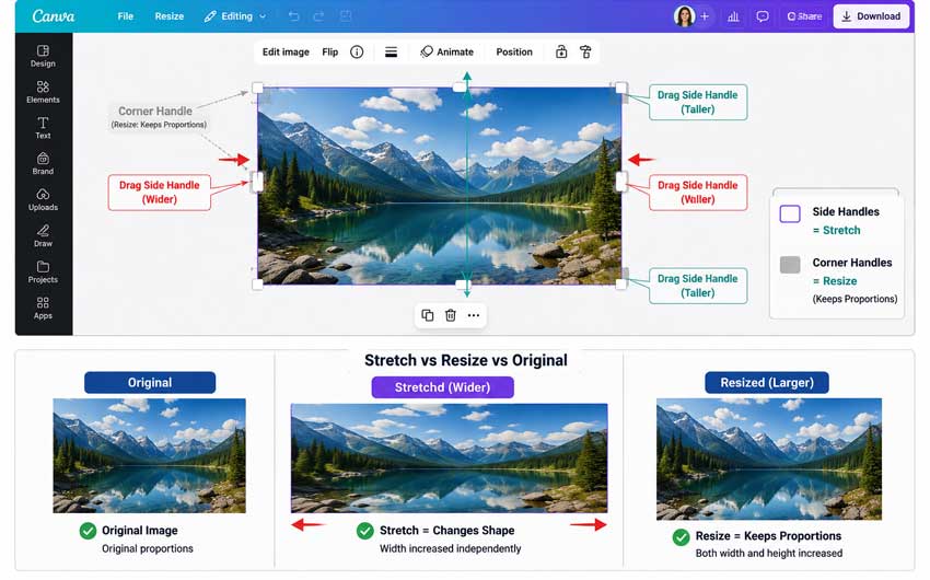 How to Stretch an Image in Canva