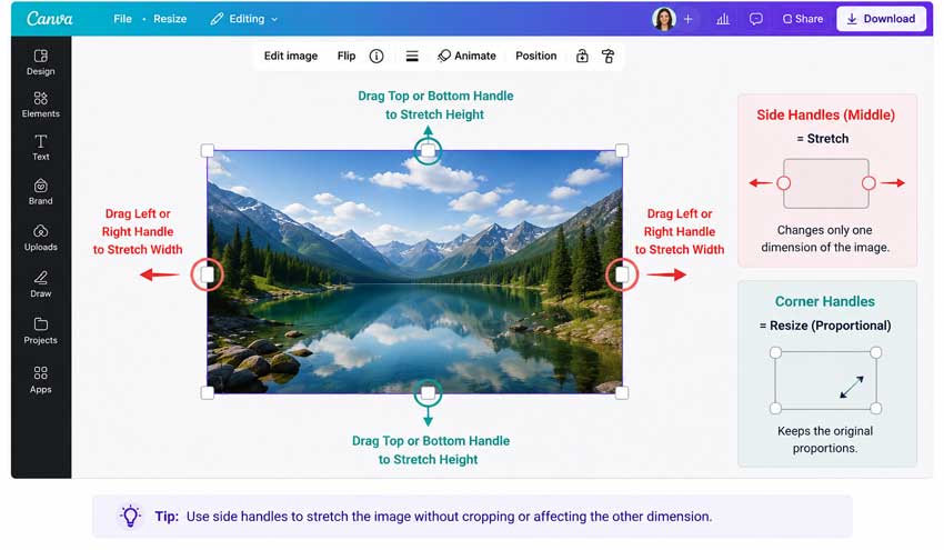 Stretch Image in Canva Horizontally or Vertically