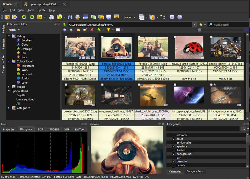 Best free photo manager software - XnView MP