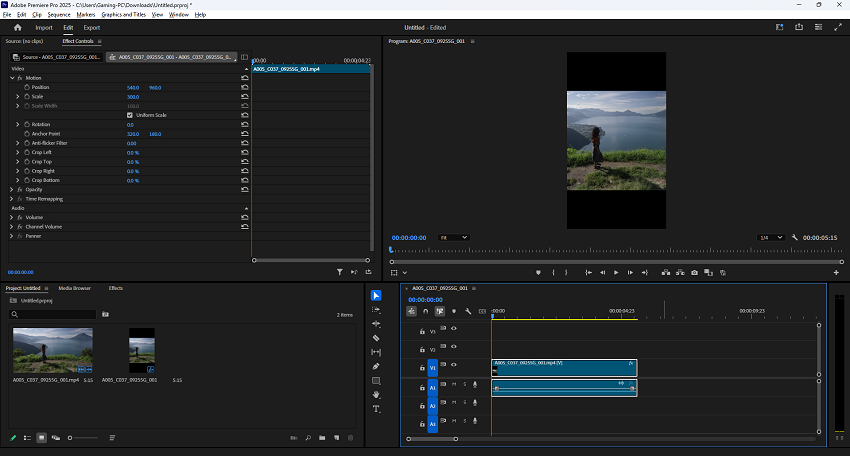 Premiere Pro Effect Controls