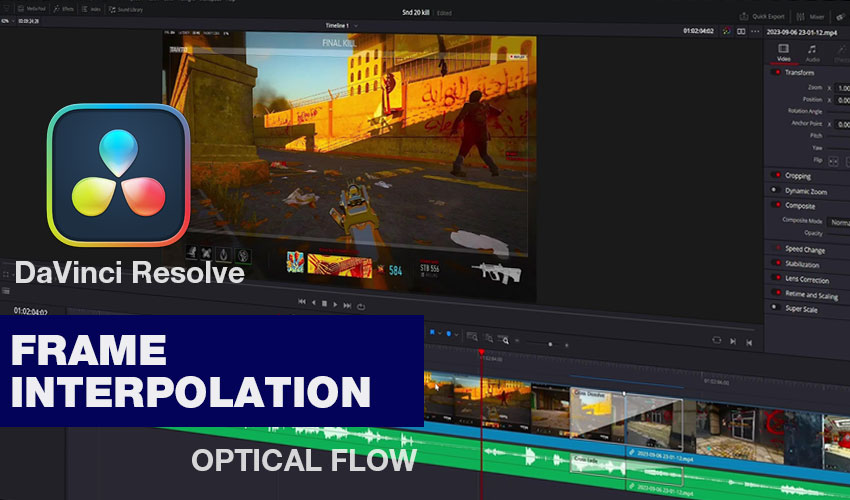 Davinci Resolve Frame Interpolation
