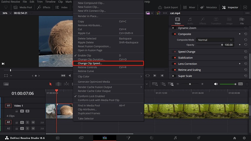 DaVinci Resolve Change Clip Speed