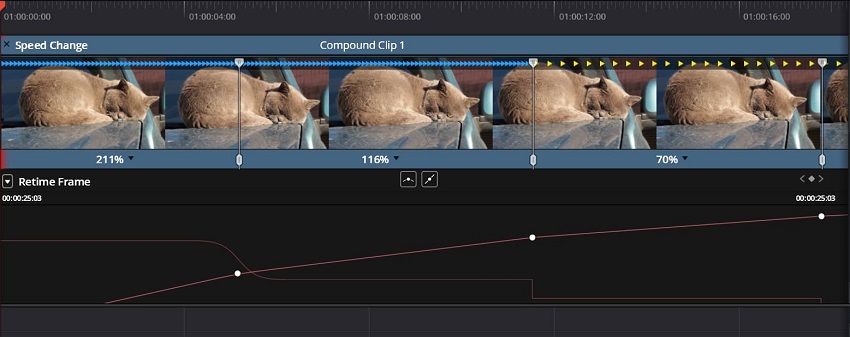 DaVinci Resolve Retime Curve settings