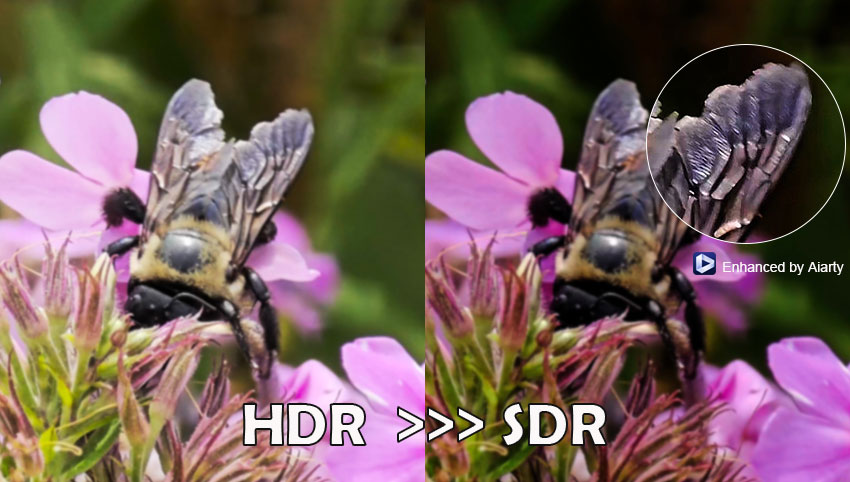 HDR to SDR
