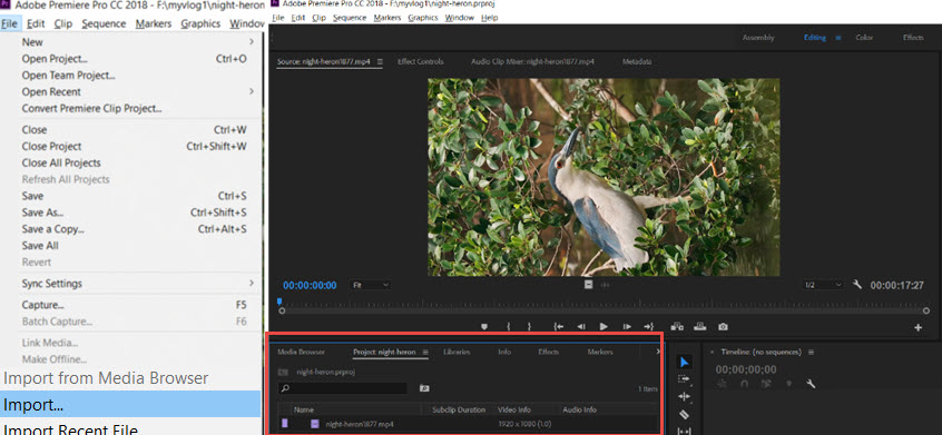Import Media Premiere Project