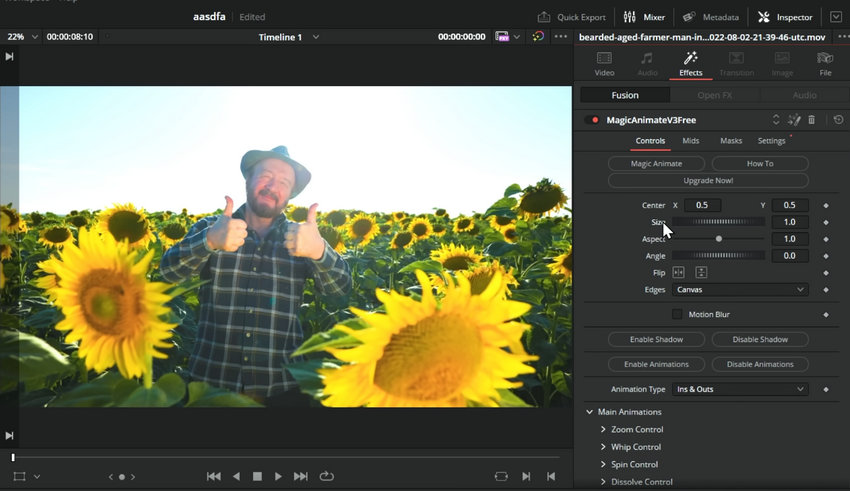 DaVinci Resolve plugin - Magic Animate