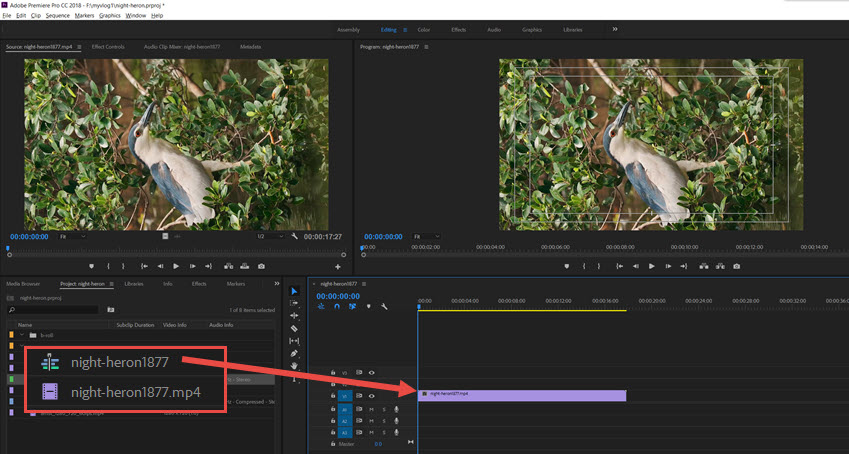 New Sequence Premiere Timeline