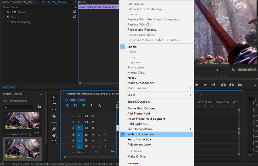 Premiere Pro change resolution