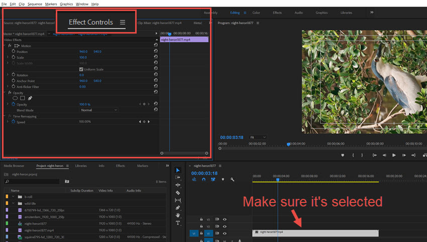 Premiere Pro Effect Controls Panel