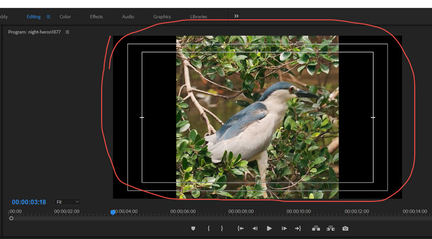 Premiere Pro Project Preview Panel