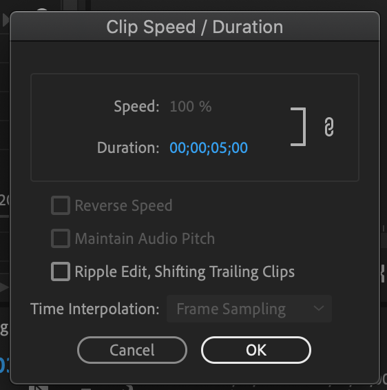 Premiere Pro Speed/Duration parameters