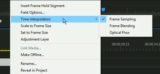 Premiere Pro Time Interpolation