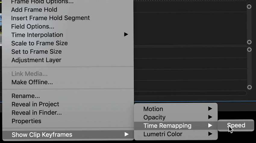 Premiere Pro Time Remapping