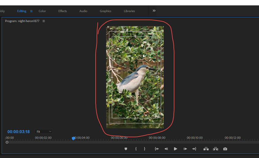 Premiere Pro Vertical Resolution