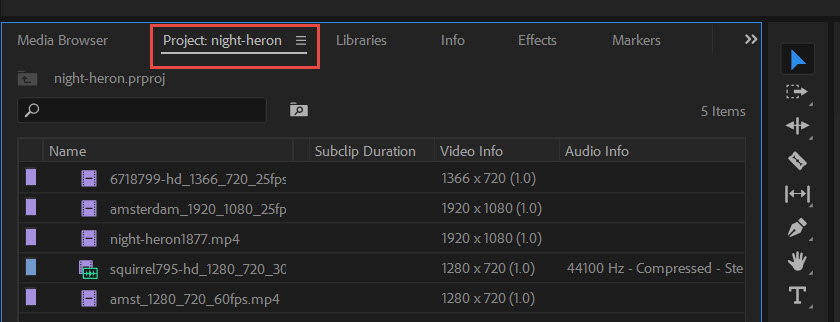 Project Media Tab Premiere
