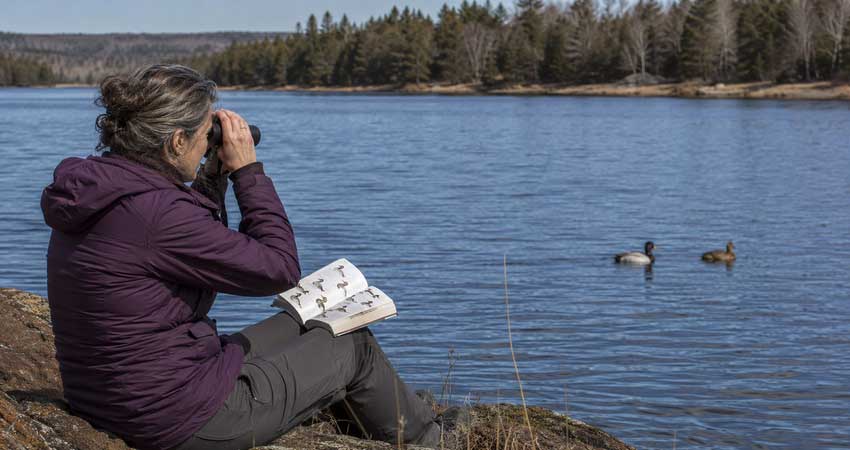 A diverse group of birders observing and identifying a bird together