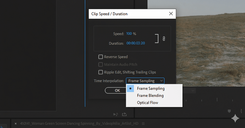 Frame Blending feature in After Effects