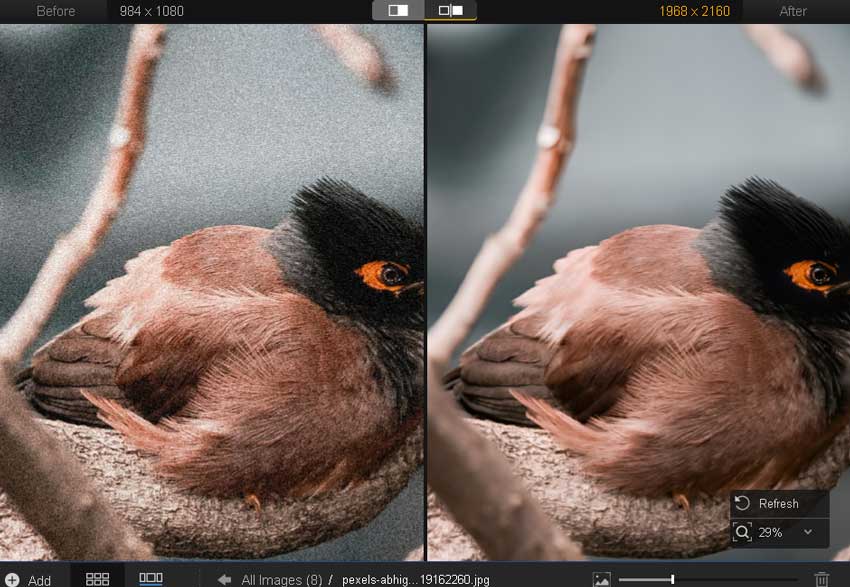 Wildlife photographer reviewing an enhanced Great Horned Owl photo