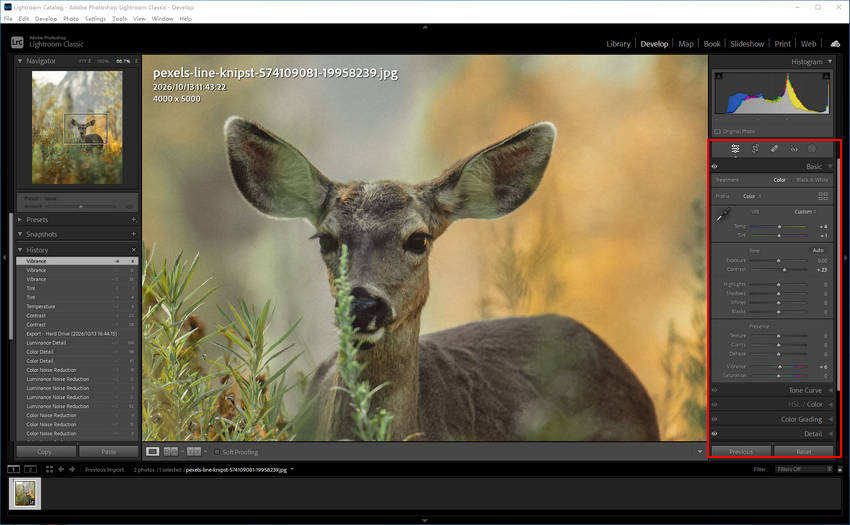 Make Basic RAW Adjustments in Lightroom