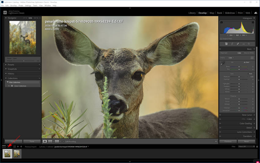 Return Enhanced Images and Finish Editing