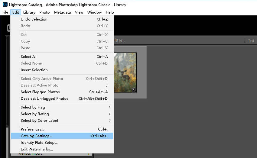  Move Your Catalog and Cache to a Fast SSD