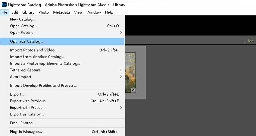 Optimize the Catalog