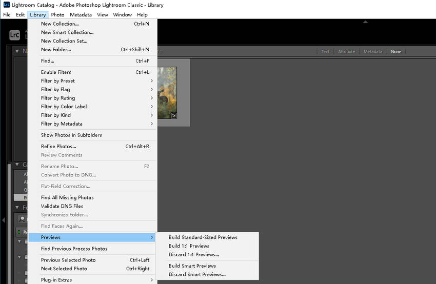 Optimize the Catalog