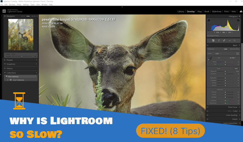 Why is lightroom so slow