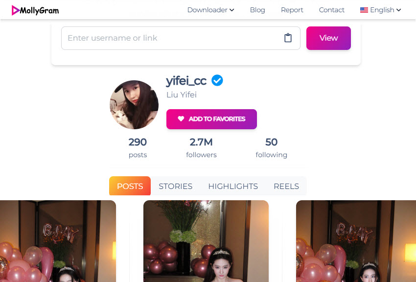 MollyGram anonymous Instagram veiwer