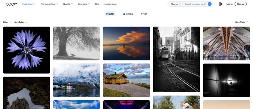 Best photo sharing site - 500px